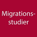 Migrationsstudier