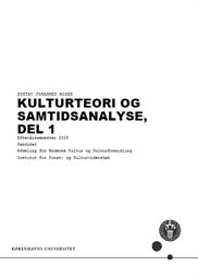 Kulturteori og samtidsanalyse, del 1 ES26